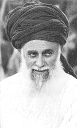 Mawlana Shaykh Nazim